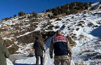 Siirt’te yaban hayvanlarına 750 kilo yem bırakıldı