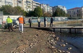 Sinop’ta deniz yüzeyindeki kirlilik vatandaşları endişelendirdi