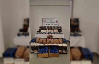 Sinop’ta kaçak tütün operasyonu: 3 gözaltı
