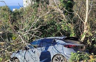 Sinop’ta kontrolden çıkan otomobil ağaçlık alana devrildi