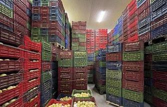 Soğuk Hava Deposu tam kapasite hizmet veriyor