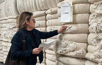 Söke’den yurt dışına gidecek ham pamuklar denetlendi