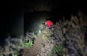 Su kanalına düşen buzağıyı itfaiye kurtardı