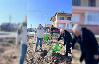 Şuhut İlçe Emniyet Müdürlüğü Hatıra Ormanı oluşturuldu