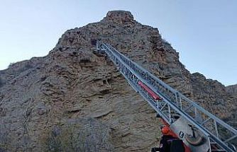 Sungurlu Belediyesi İtfaiyesi  bir yılda 469 olaya müdahale etti