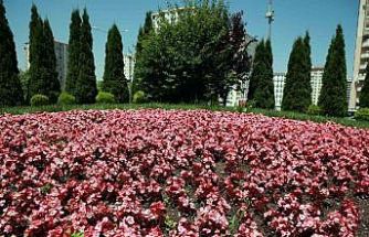 Talas 2026’da rengarenk olacak