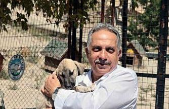 Talas Patievi Doğal Yaşam Alanı 500 can için seçkin bir yuva