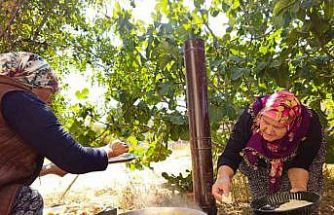 Tarhana kokusu sokağı doldurdu