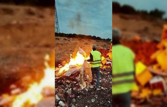 Tarihi geçmiş ürünlerle çocukları zehirleyeceklerdi: 2 ton cips, şekerleme ve çikolata imha edildi