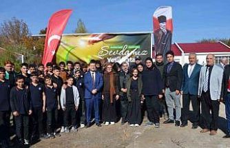 Tatvan’da okul bahçeleri fidanlarla yeşilleniyor