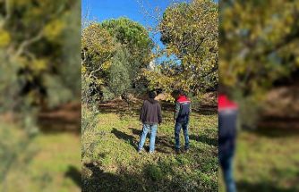 Tekirdağ’da ceviz bahçesinde hastalık ve zararlı kontrolü yapıldı