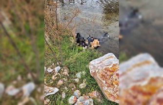 Trenin geçtiği köprüde hayatını kaybetti