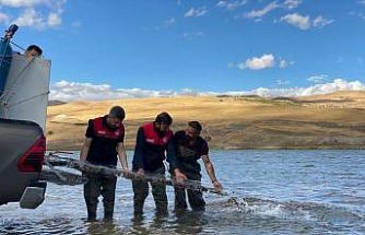 Türkiye nüfusu kadar balık deniz ve göllere bırakıldı