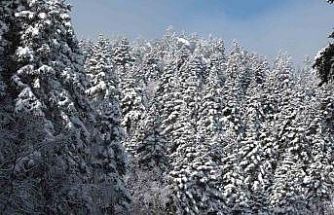 Uludağ’da göz gözü görmüyor