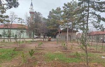 Umraniye köylüleri 300 adet fidanı okul ve camii bahçesine diktiler