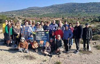 Urla’da yanan orman için umut yeşerdi: 500 meşe palamudu toprakla buluştu