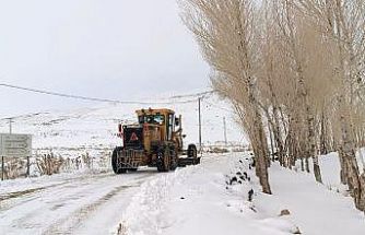 Van’da 389 yerleşim yerinin yolu kapalı