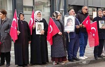 Vanlı annelerin evlat nöbeti 114’üncü haftasında