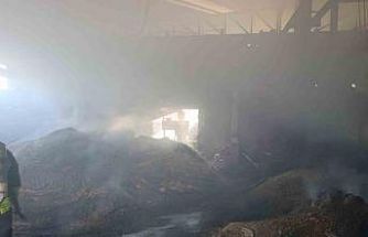 Vize’de palet fabrikasının deposunda yangın