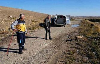 Yaralı tilki tedavisinin ardından doğaya geri bırakıldı