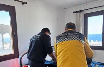 Yarımada genelinde sağlık desteği