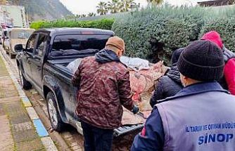 Yasa dışı avlanan kalkanlar, ihtiyaç sahiplerine ücretsiz dağıtıldı