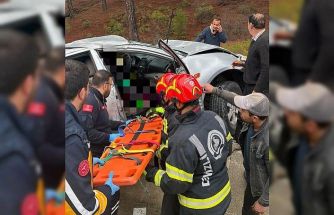 Yoldan çıkan araç ağaca çarptı; 1 ölü, 1 yaralı