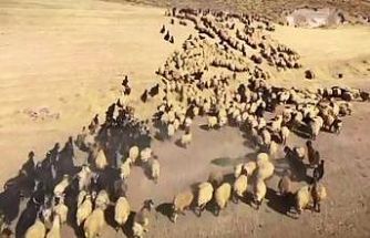 "Zamanın Ustaları" belgeselinden ilk görüntüler yayınlandı