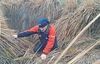 379 kişi iz takip ve kadavra köpeğiyle kayıp kadını arıyor