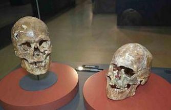 5 bin yıllık kafatası ve Amisos Hazineleri ilgi odağı oldu