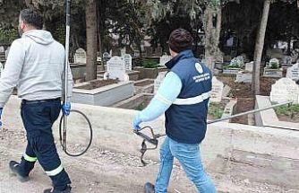 Adana’da sokak köpeği endişesi