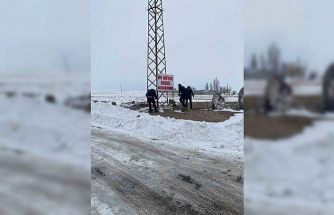 Adilcevaz’da kuduz alarmı: Bir köy karantinaya alındı