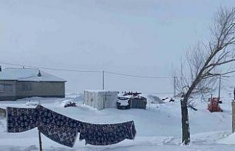 Ağrı’da köyler kışın tamamen kar altında kaldı