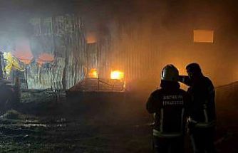 Alanya’da klima deposu alevlere teslim oldu