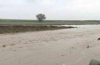 Araban Ovası’nda sağanak etkili oldu