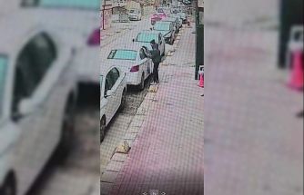 Araç faresi yakalandı