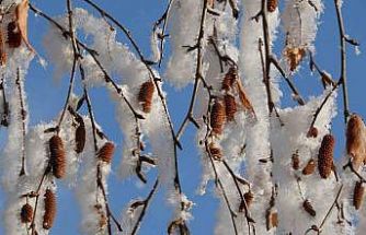 Ardahan’da Sibirya soğukları devam ediyor