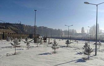 Ardahan’da Sibirya soğukları hayatı olumsuz etkiliyor