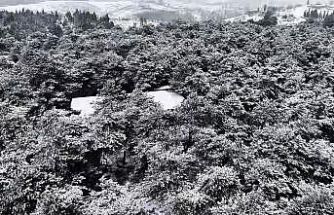 Başakşehir Şamlar Tabiat Parkı beyaza büründü