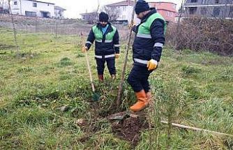 Başiskele’de yeşil alan çalışmaları devam ediyor