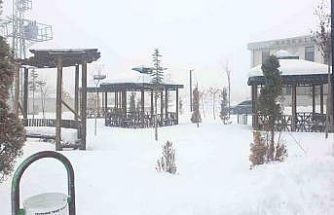 Başkale’de kar yağışı başladı