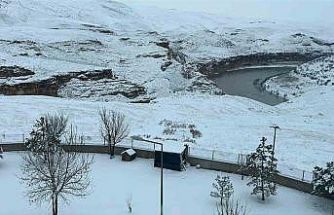 Batman’da kardan adamlar kentin simgesi oldu