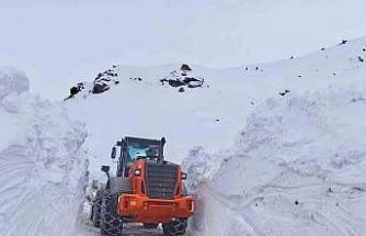 Batman’da karla mücadele çalışmaları