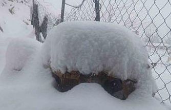 Batman’da son 20 yılın en sert kışında ekiplerin çalışmaları sürüyor