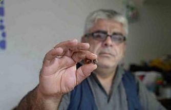 Bayburtlu kehribar ustası işlediği taşta milyonlarca yıllık böcek fosili buldu