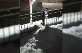 Bayburt’ta su samuru bu kez eşiyle birlikte görüntülendi