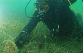 Belediye başkanı dalış yaptı, su altından müjdeyle çıktı