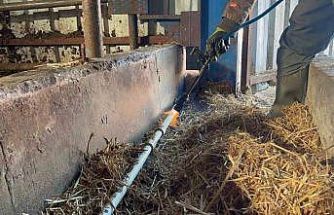 Besiciler donan su şebeklerini açmak için uğraşıyor