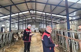 Besicilik işletmelerine yönelik ‘kapasite ölçümleri’ devam ediyor