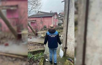 Beykoz’da ele geçirilen 204 kasa balık ihtiyaç sahiplerine dağıtıldı